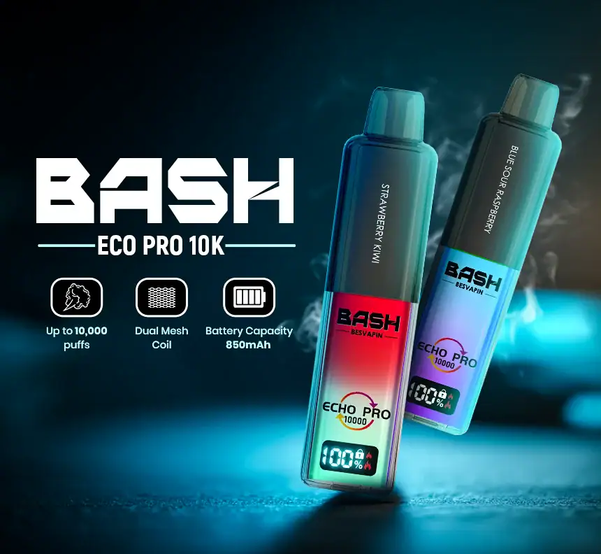 Bash Echo Pro 10K Informative Banner